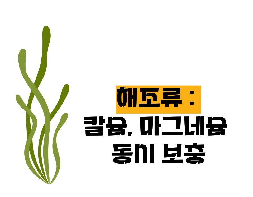 뼈에 좋은 음식