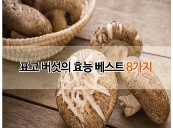 표고버섯 효능_4