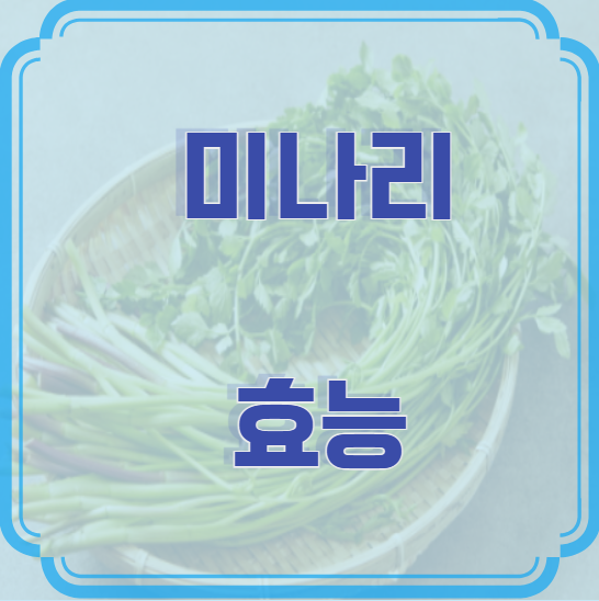 미나리 나물 효능 – 건강에 좋은 이유와 섭취 방법