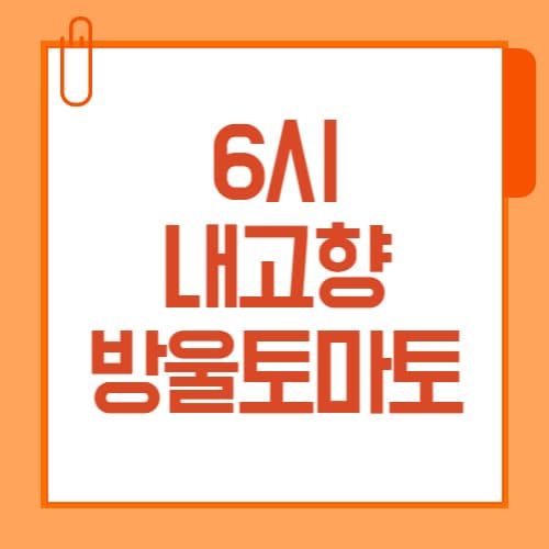 횡성 대추방울토마토 어디서 사지? 6시 내고향 방영 제품