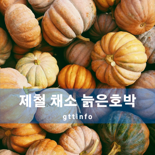 늙은호박의 효능