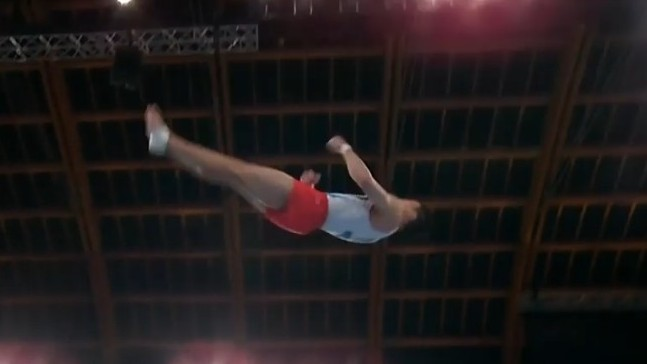 기계체조 신재환 기계체조 신재환