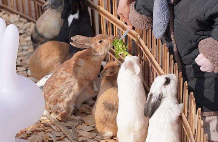 대구 네이처파크 체험프로그램