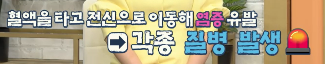 바나바잎 효능