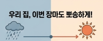 장마철 천연 참숯과 염화칼슘 제습제 비교 효과