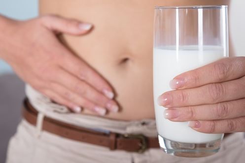 락토페린-다이어트-효능