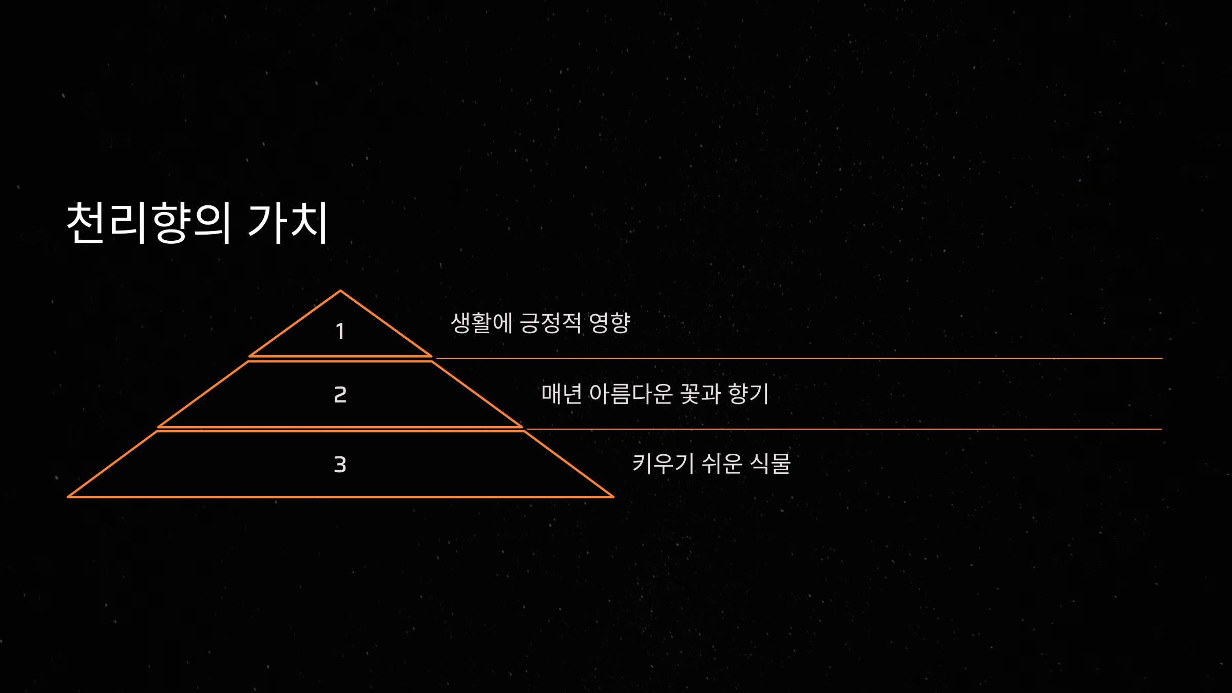 천리향의 가치