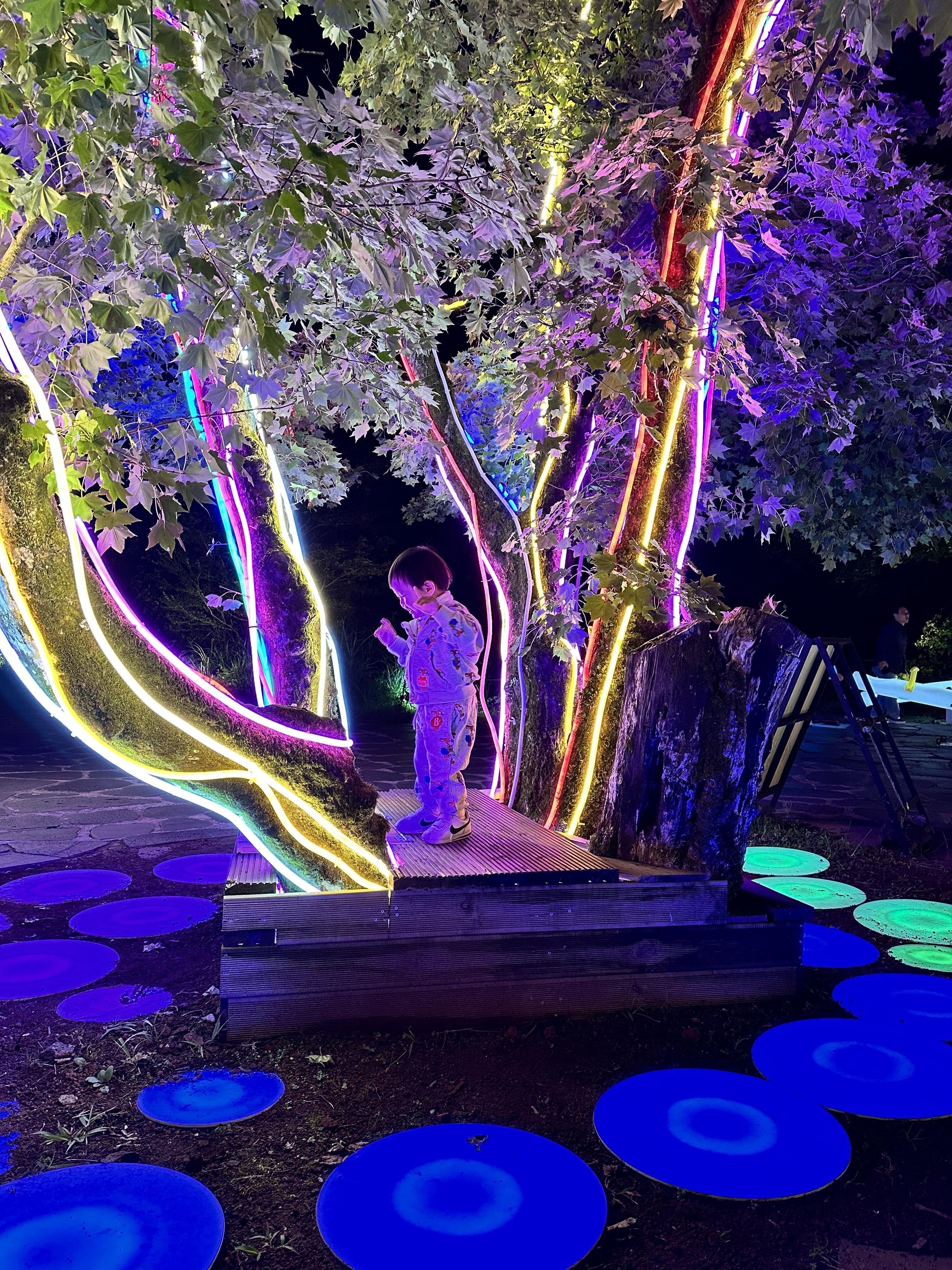 가을 아기와 함께 제주도 여행 에코랜드 테마파크