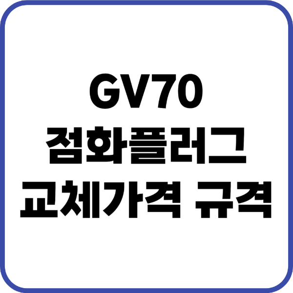 GV70 점화플러그