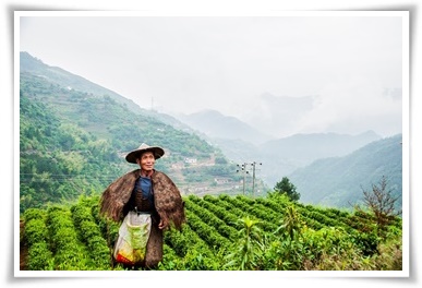&quot;10월에 심기 좋은 작물 추천&quot; 10월, 새로운 계절을 준비하는 시간...