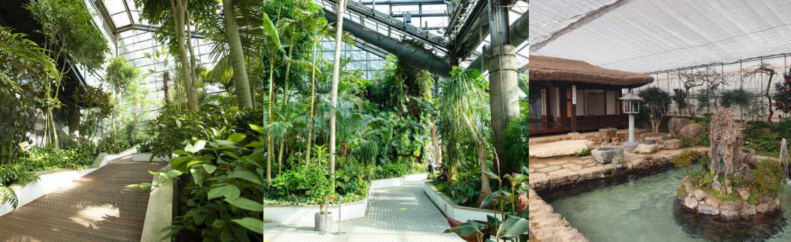 출처: 가평 자라섬 이화원 등록사진