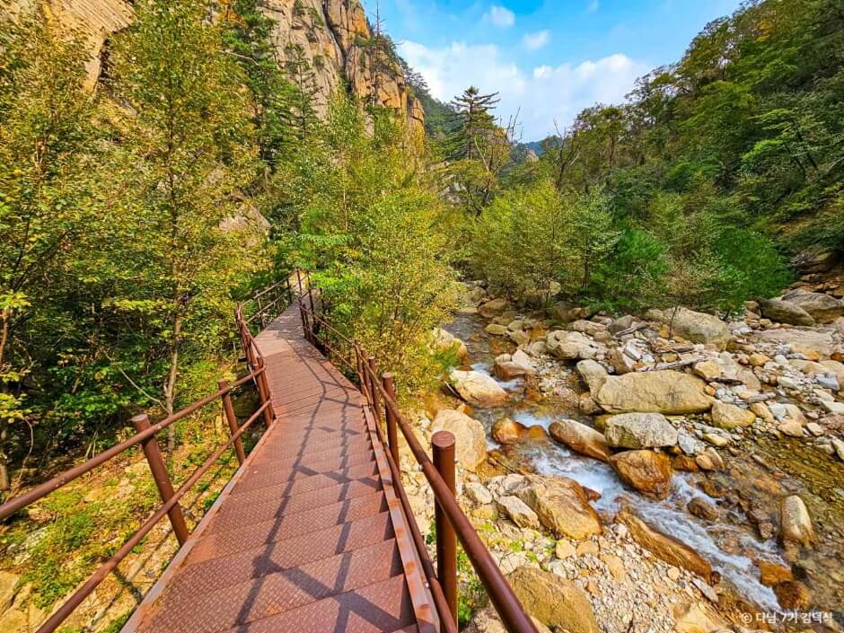 강원도 가을 단풍 여행 가이드 : 2025 양양 설악남부·오색약수 단풍 절정 시기 & 추천 코스