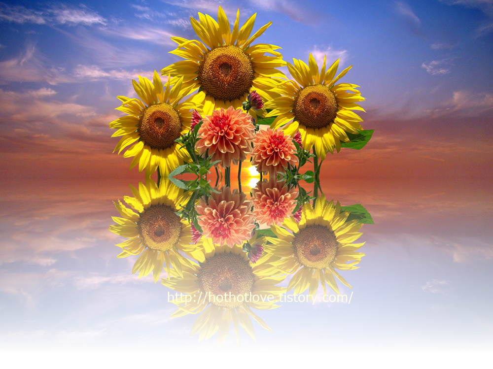 미국의 독립 산업화