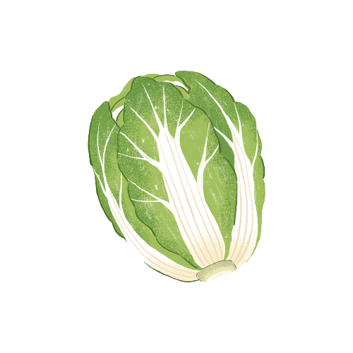 농식품바우처 신청방법 및 사용처 알아보기