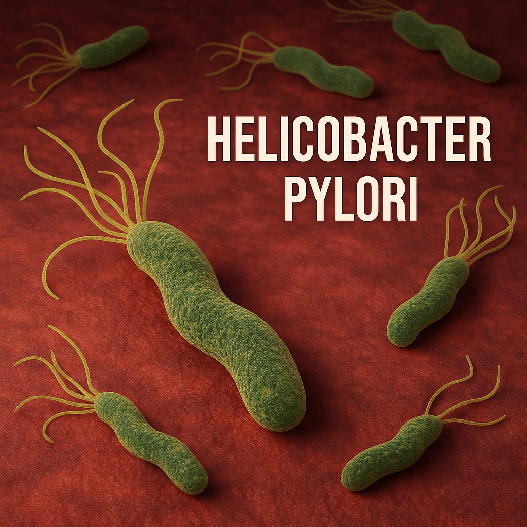 위축성 위염 증상, 원인, 치료 총정리