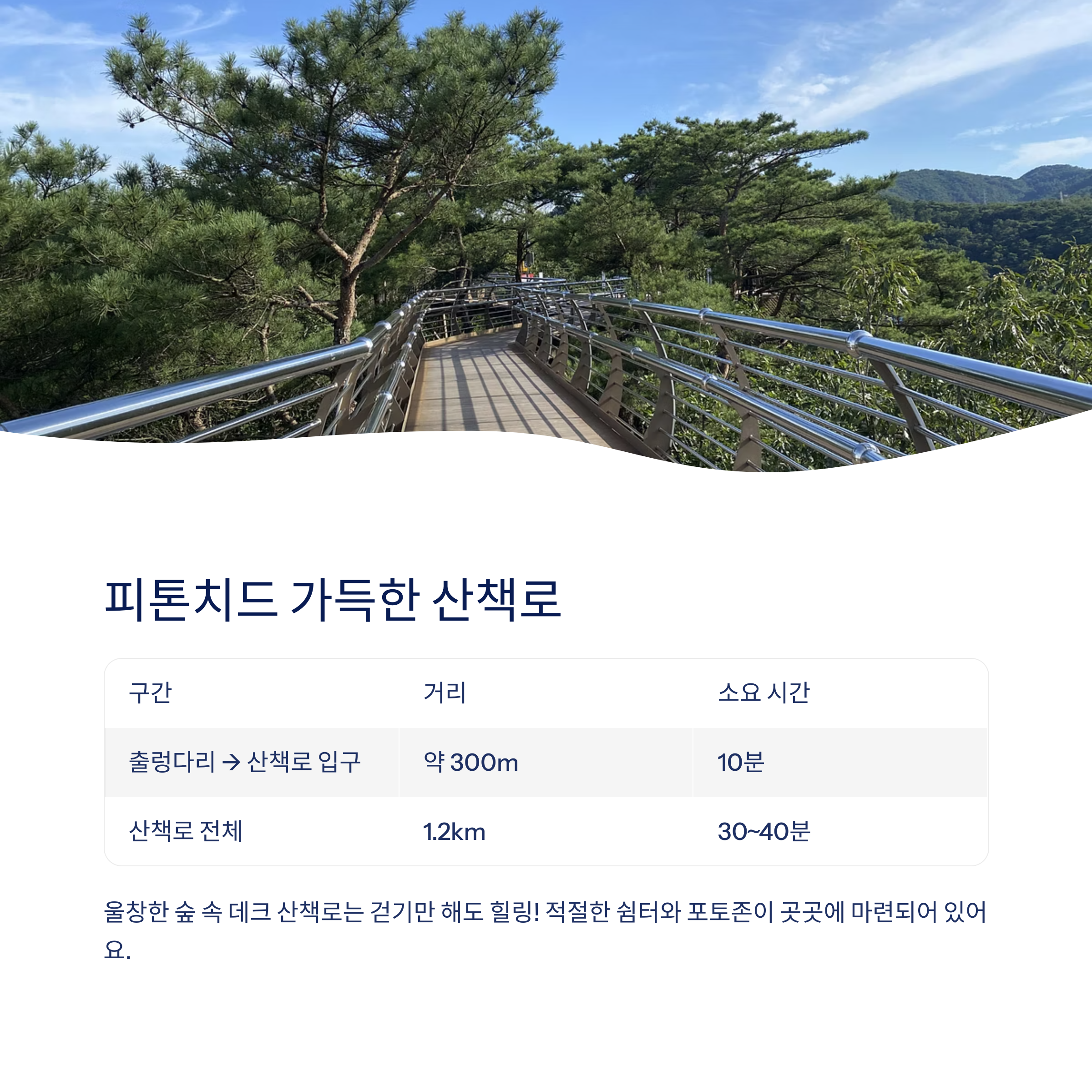 피톤치드 가득한 산책로