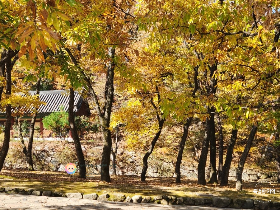 울산 경남 단풍 명소 2026