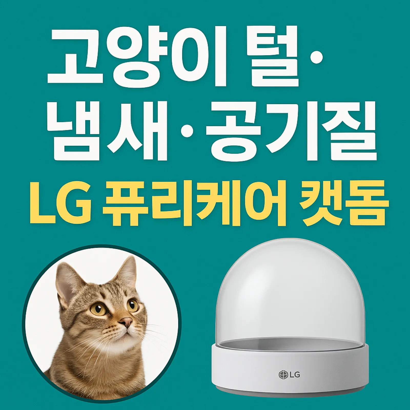 고양이-집사-필수템-LG-캣돔-리뷰-냄새-알레르기-해결-썸네일