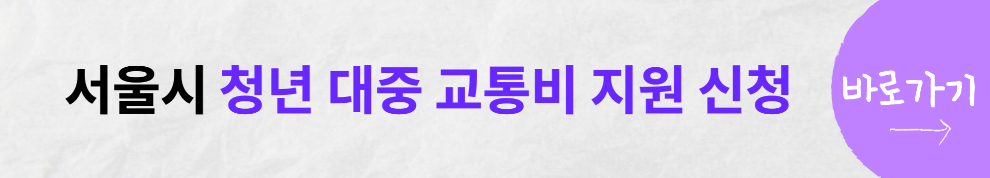 서울시 청년대중교통비 지원