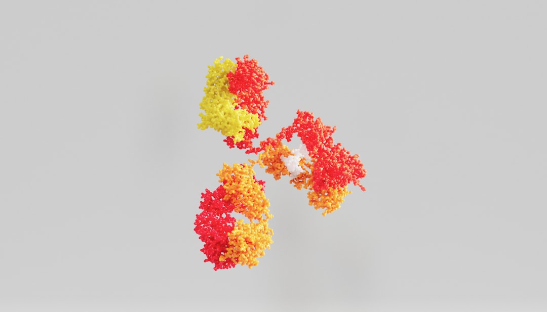Bacteria