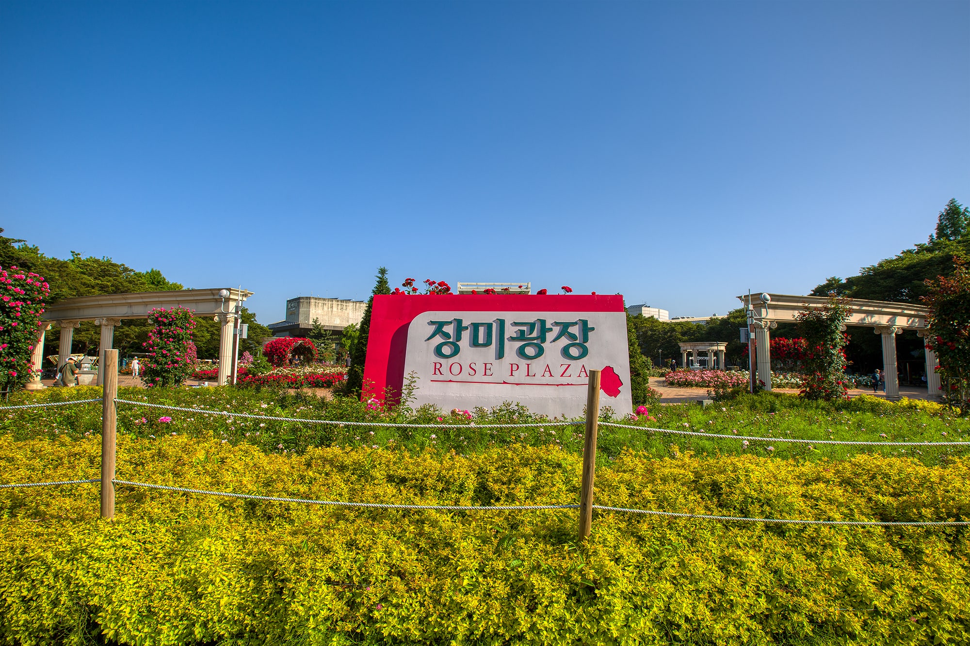 장미광장 기본정보