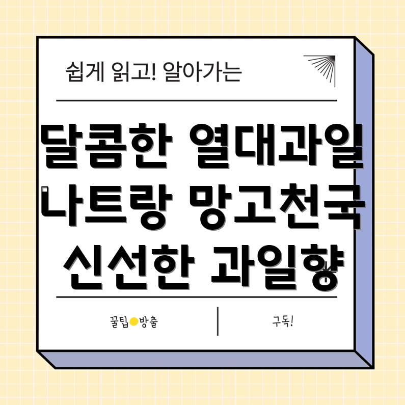 나트랑 열대과일