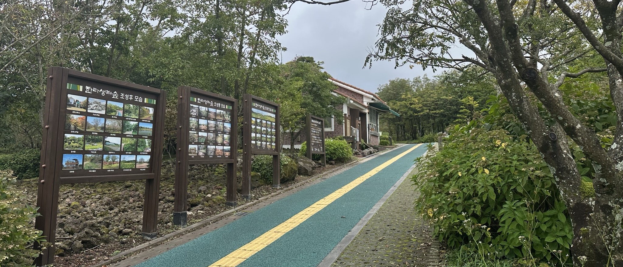 한라 생태숲 나가는길