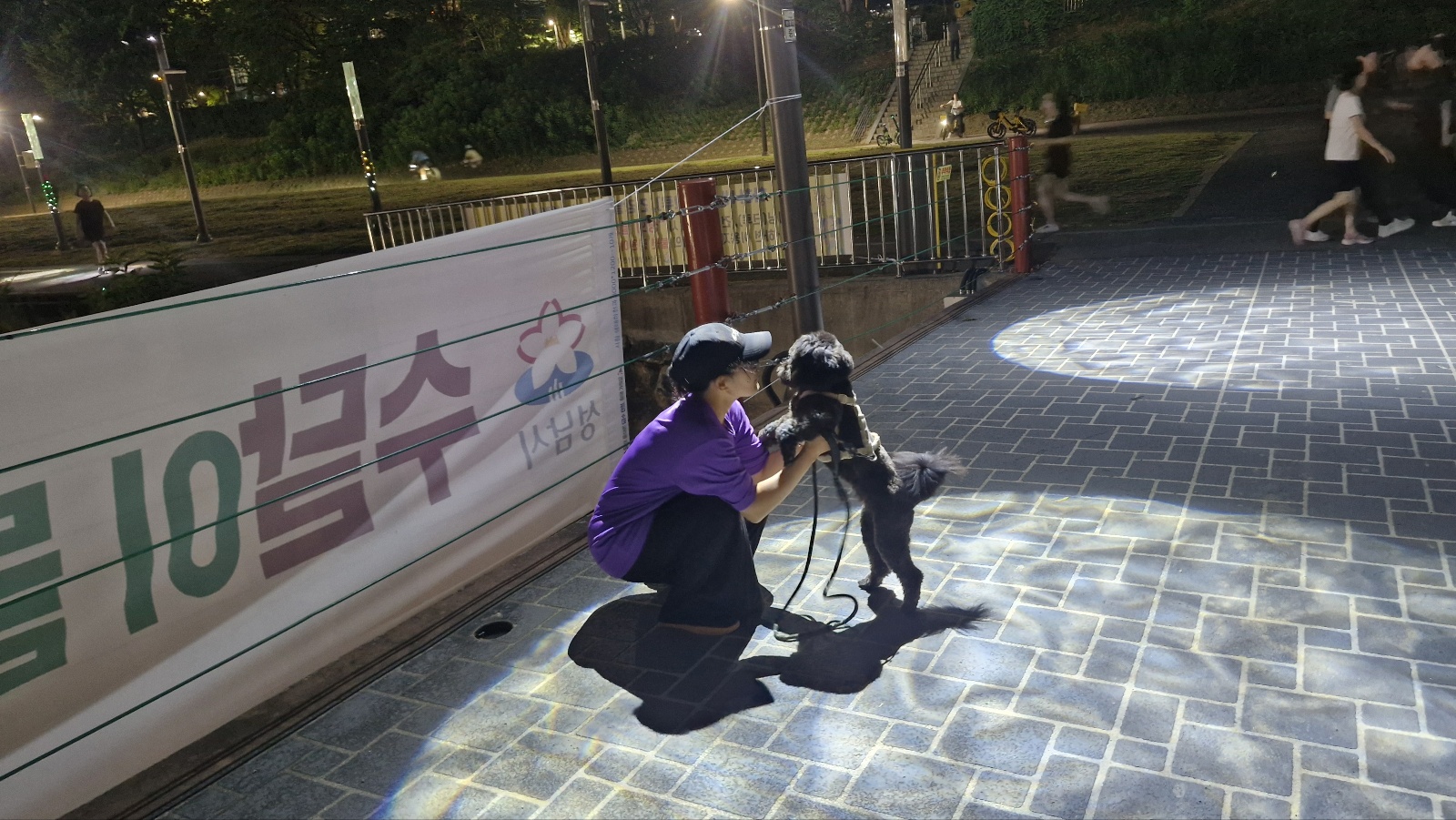 강아지 행동 신호별 교감법 비교 (놀이&amp;#44; 스트레스&amp;#44; 편안함)