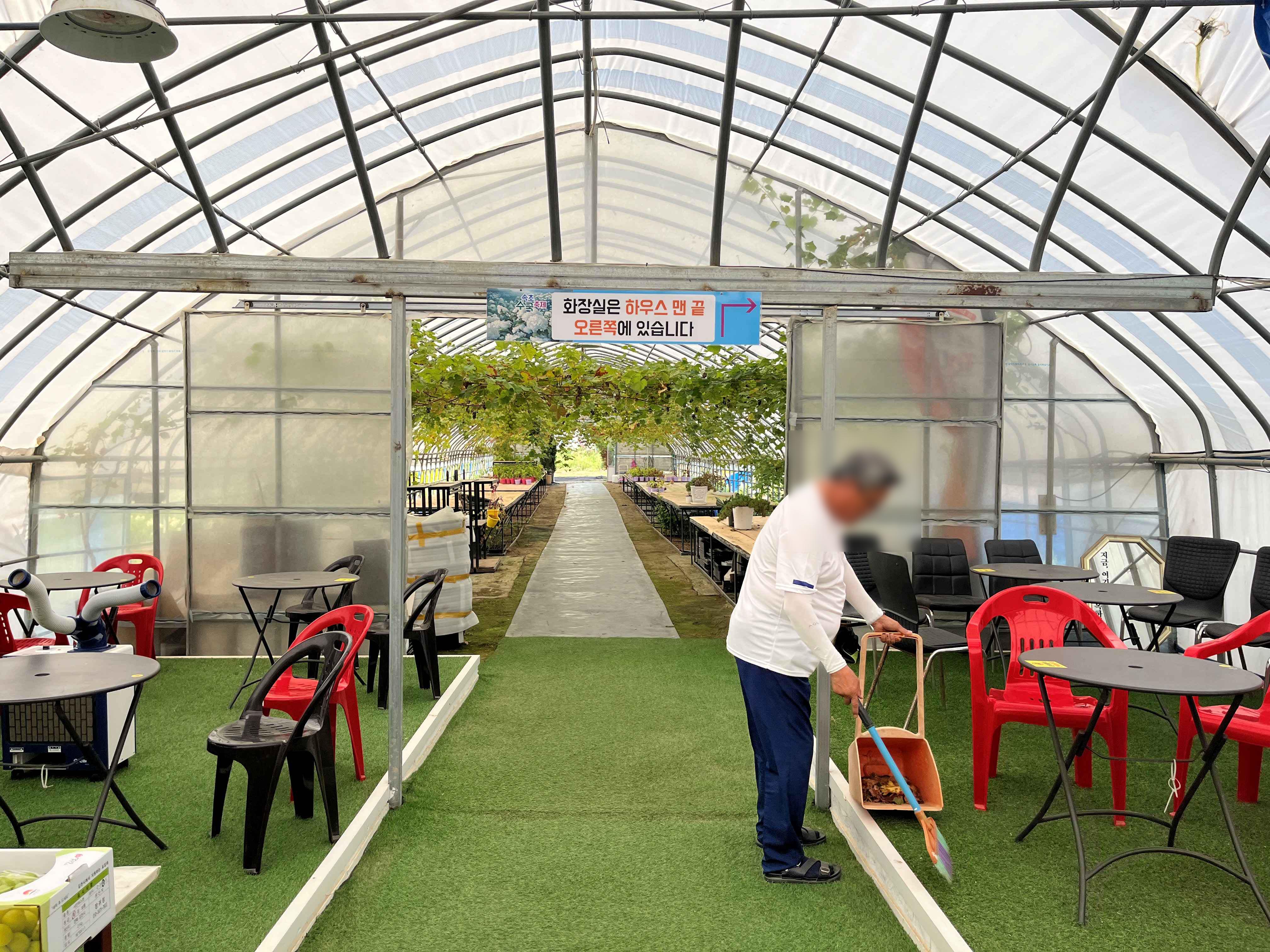 속초 영랑호 수국축제 속초수목농원