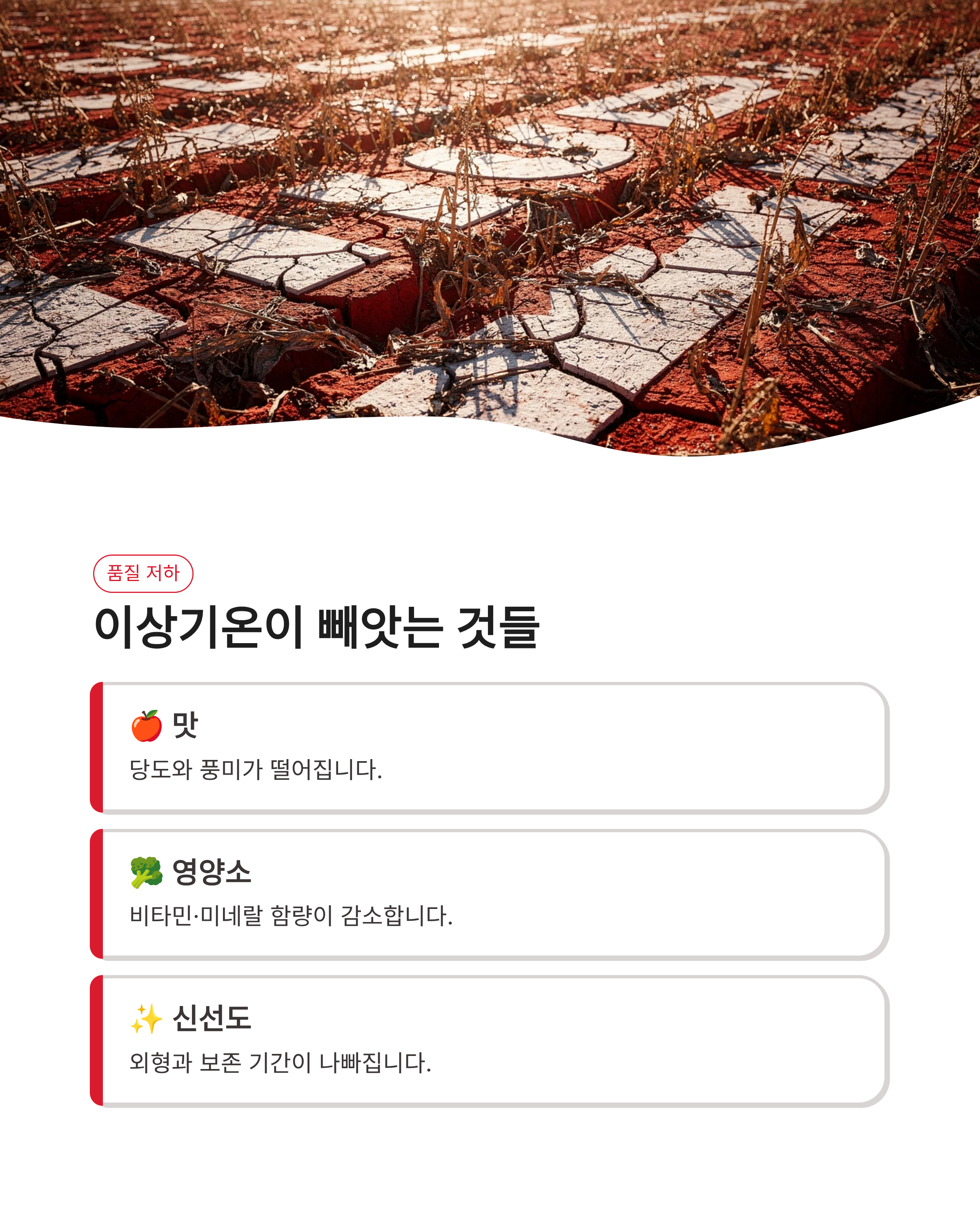 5월27일 기후행동(기후동행) 퀴즈 정답 알아보고 기후변화 상식 쌓기