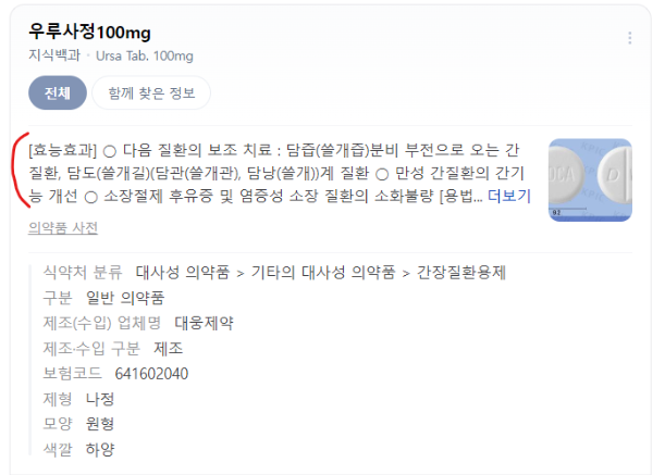 우루사정 100mg 설명 