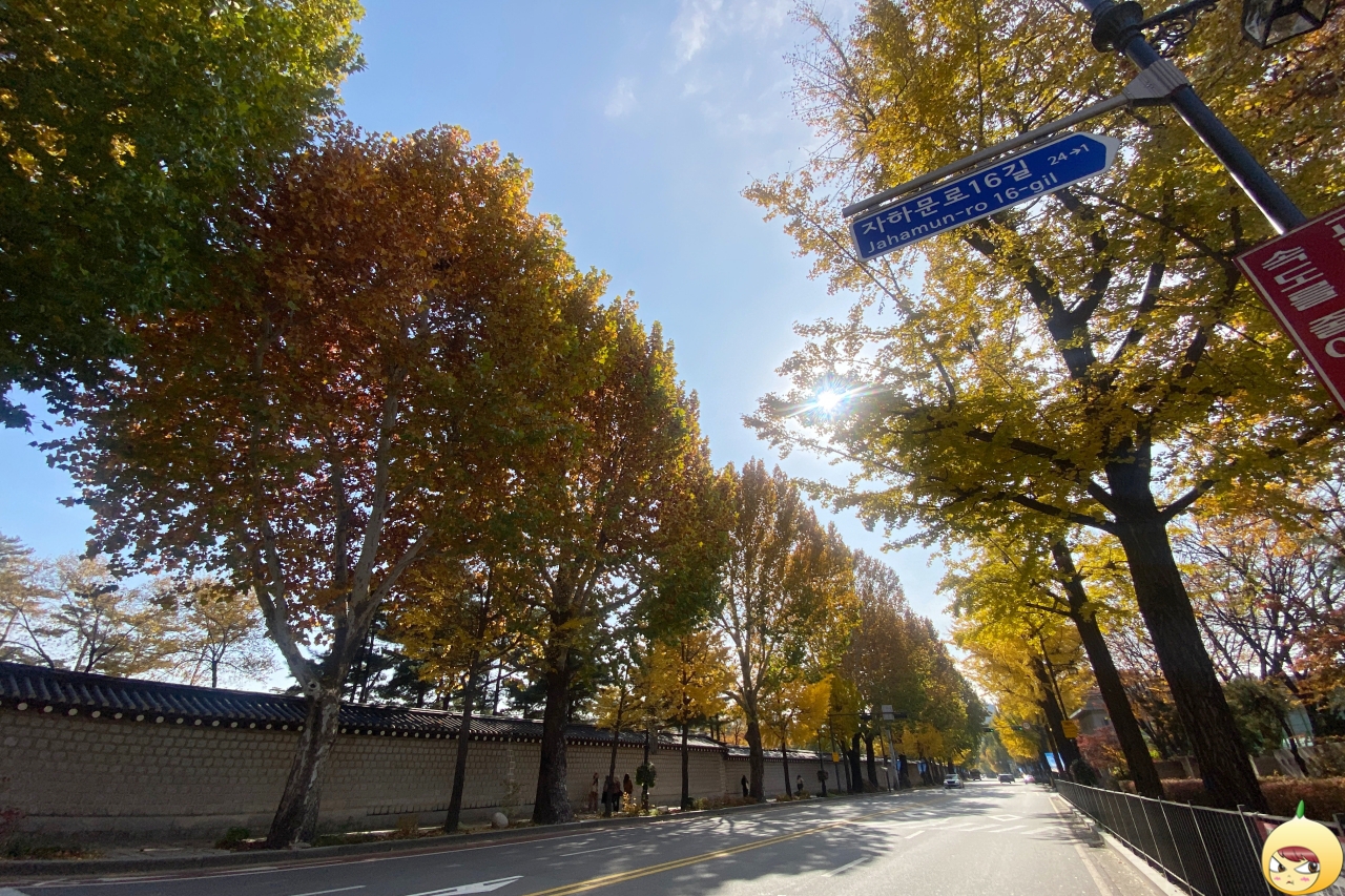 자하문로16길에서 시작