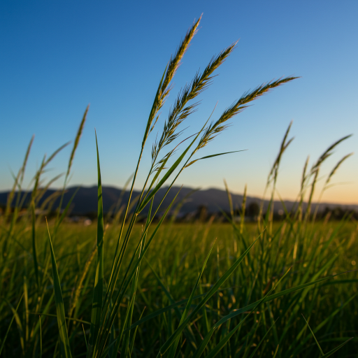 스트레스 관리: 마음을 진정시키는 방법