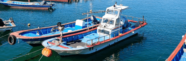 사천 비토섬 캠핑장 배