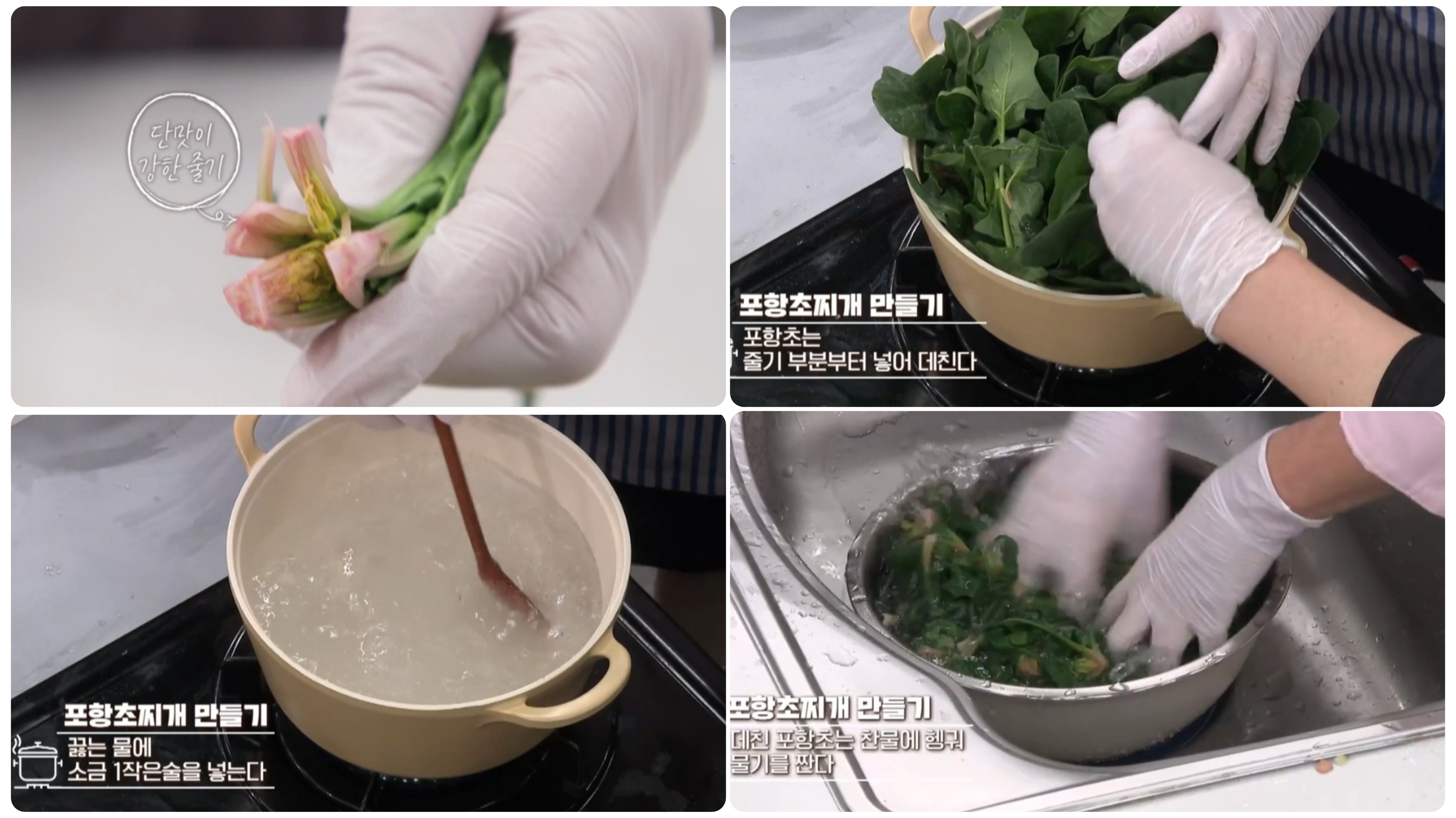 포항초시금치찌개