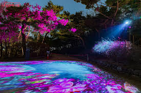 창경궁 관련행사 사진