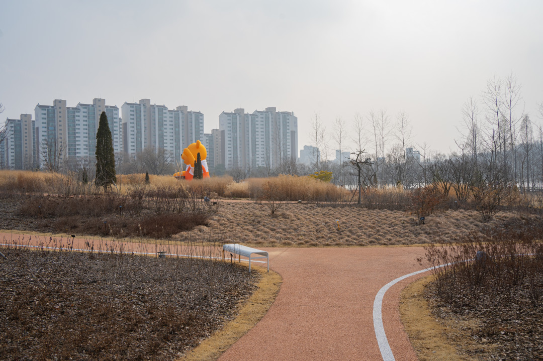 일월 수목원 야외 탐방로