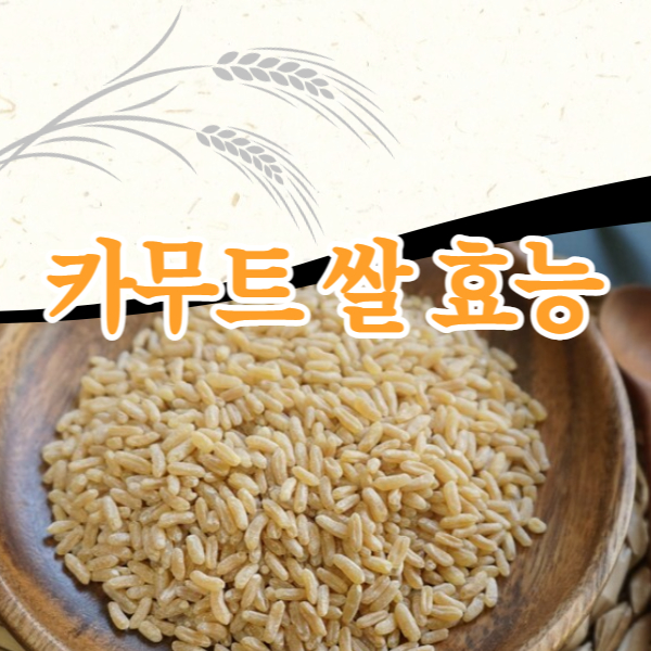 카무트 쌀 효능
