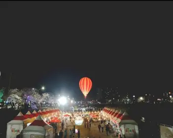 정읍 벚꽃축제_7