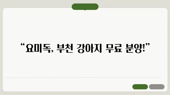 부천강아지무료분양 요미독