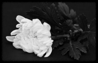 "충격! 이주실 배우님 별세… 오징어게임2 촬영 후 갑작스러운 비보"