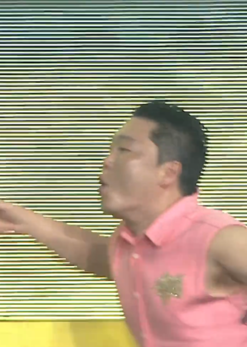 싸이흠뻑쇼-전략