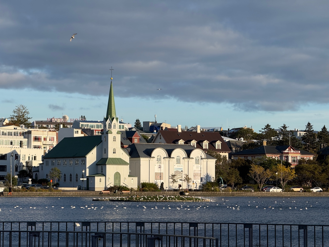 아이슬란드 레이캬비크