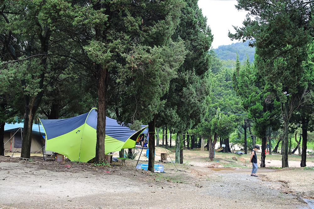 경기도 평택시 갈릴리 야영장 소개