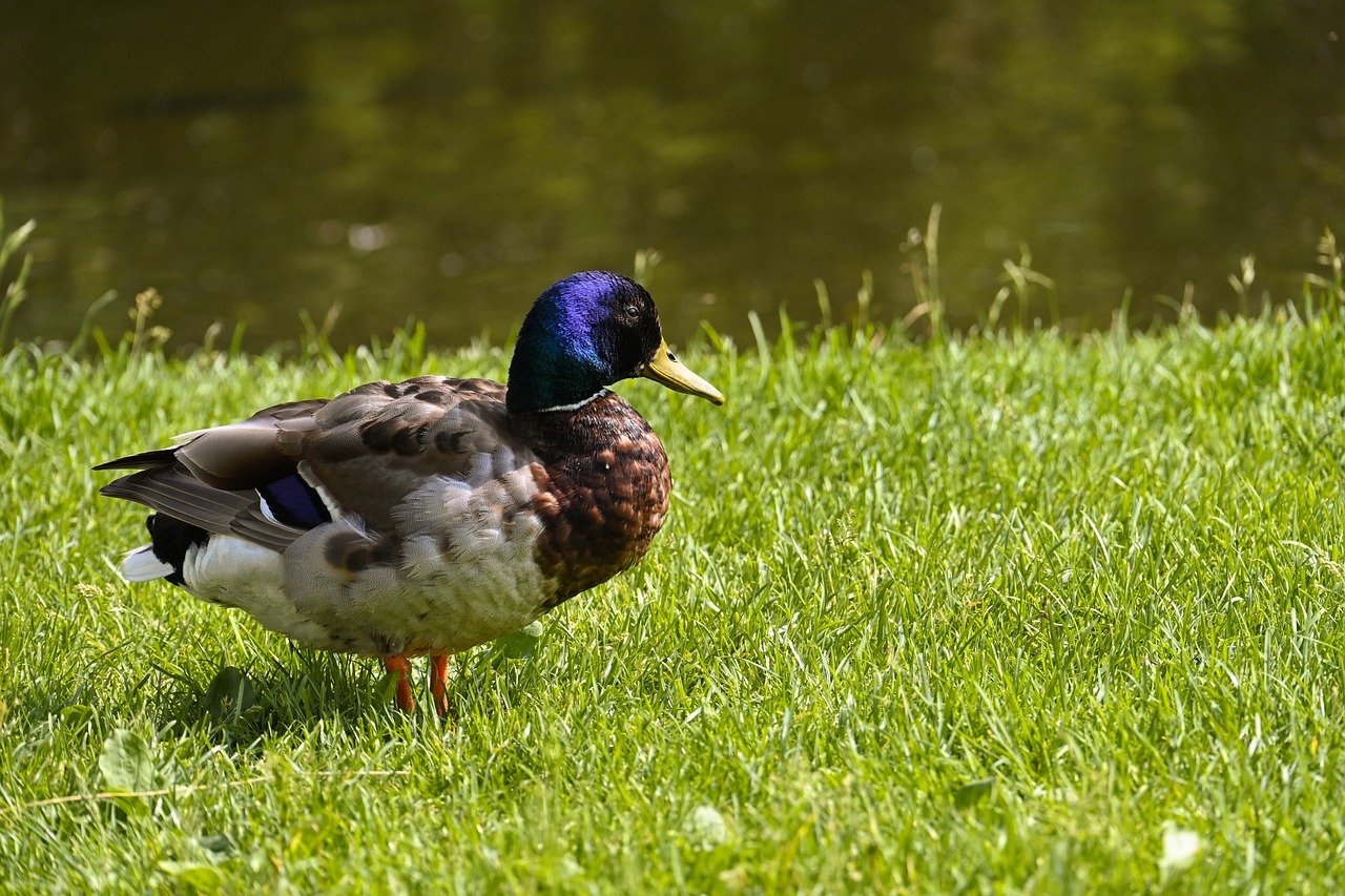 부동산 중개수수료