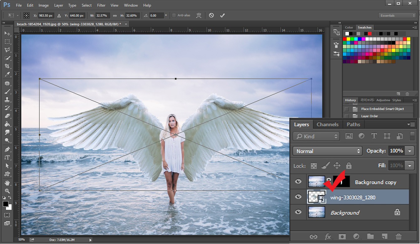 angel wings