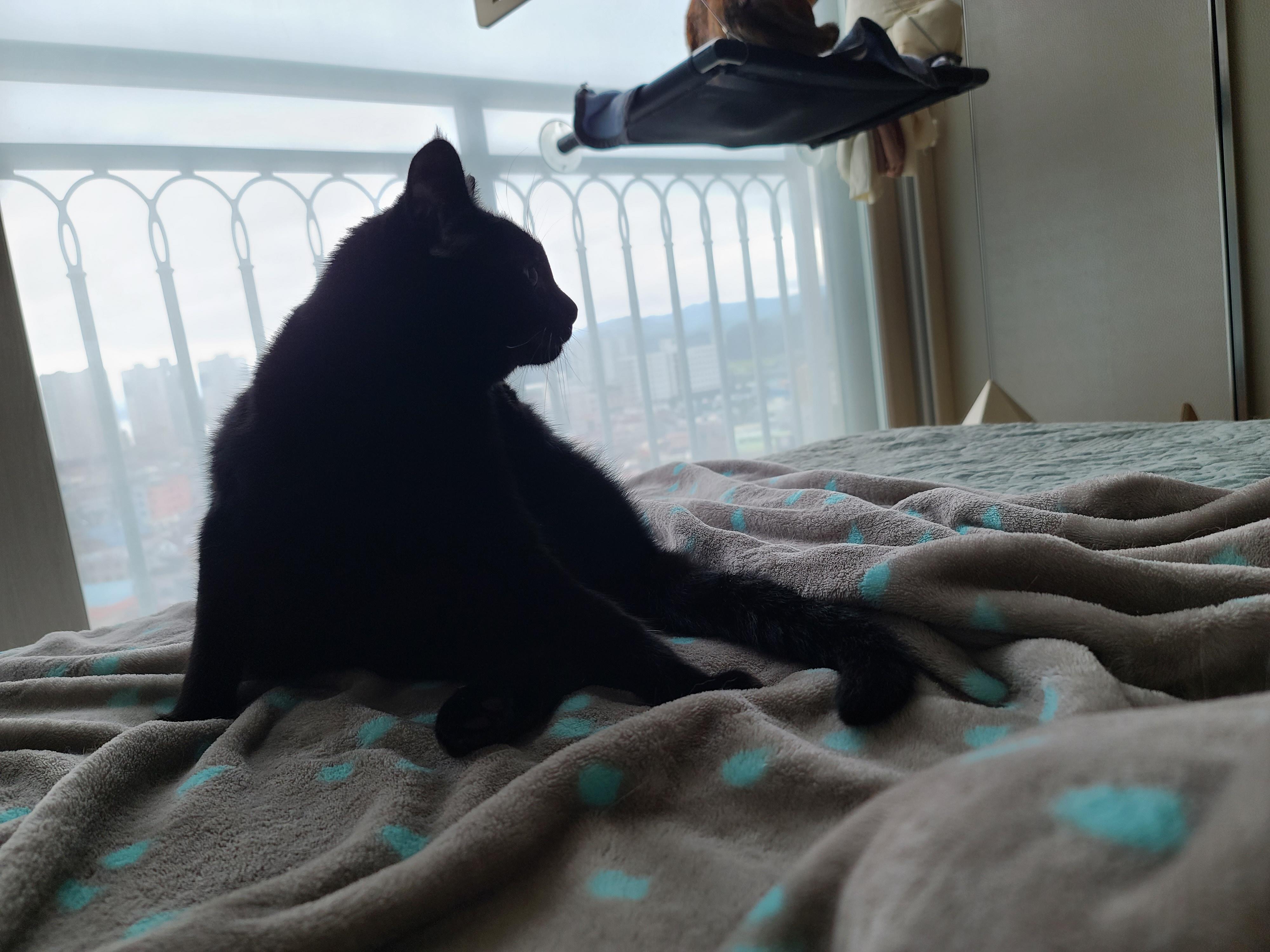 토요일 아침. 신난 남매들 ㅋㅋ