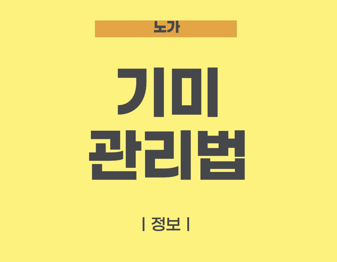 기미 없애는 방법