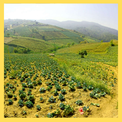 농어민수당신청