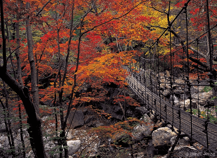 구례군 지리산